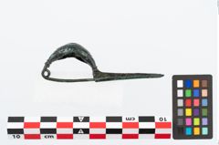 Foto von Bronzekahnfibel (NHMW-PRAE-026363)